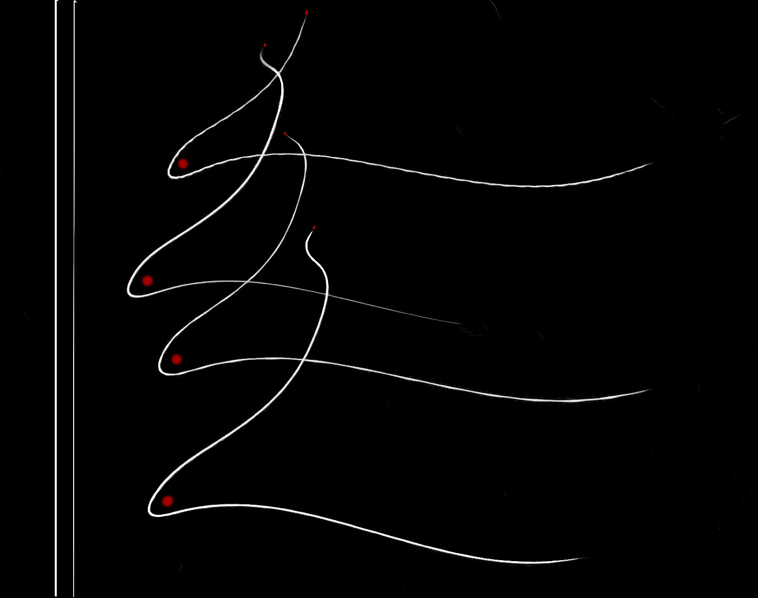 "Life's Path"