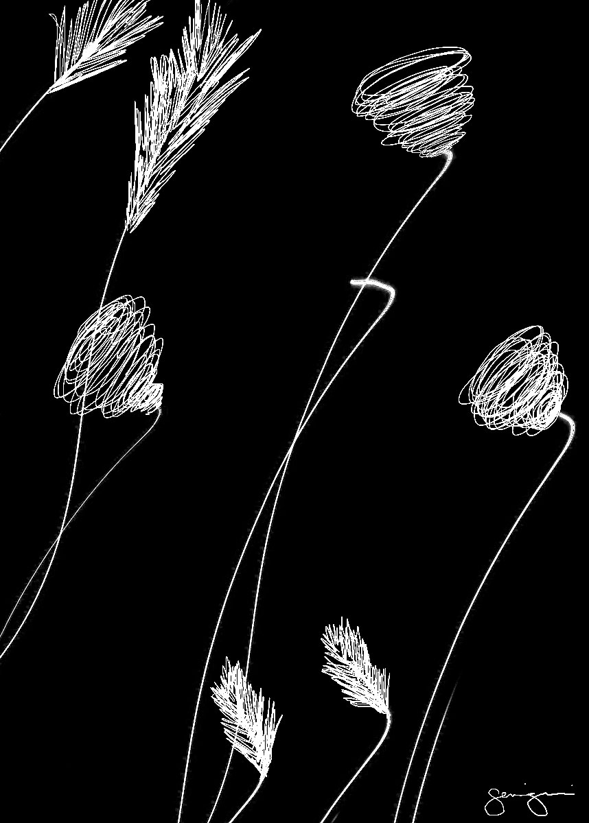 "Simple Flowers-B&W"