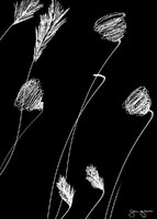 © 1980-2016 Gemignani, Fine Art Photography. All rights reserved.