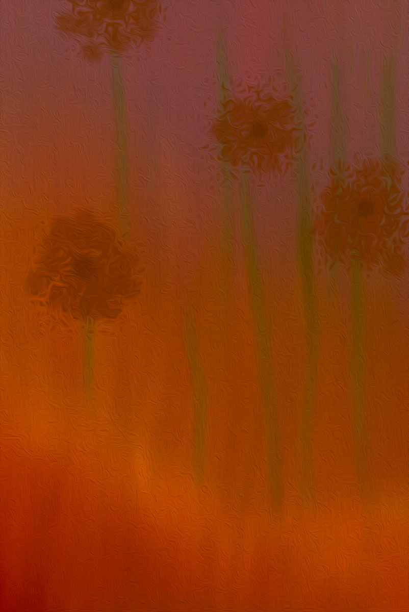 "Red Flowers"