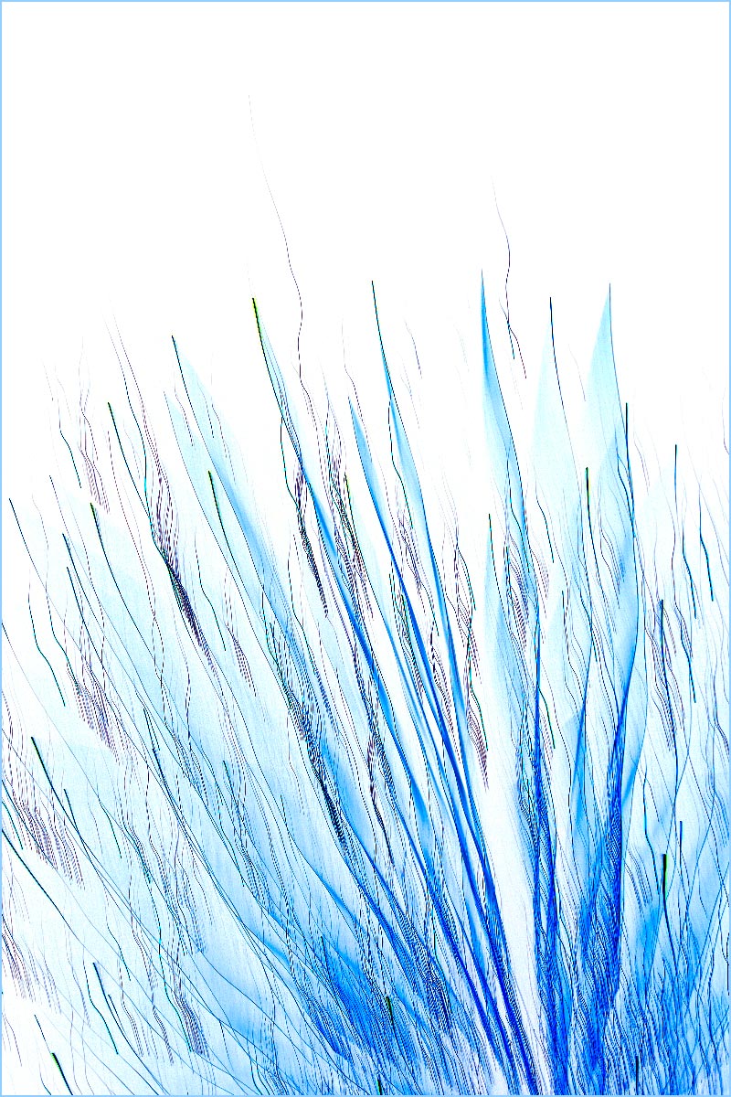 "Splash Inverted"