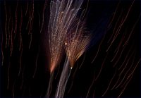 © 1980-2016 Gemignani, Fine Art Photography. All rights reserved.
