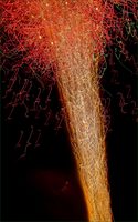 © 1980-2016 Gemignani, Fine Art Photography. All rights reserved.