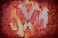 © 1980-2016 Gemignani, Fine Art Photography. All rights reserved.