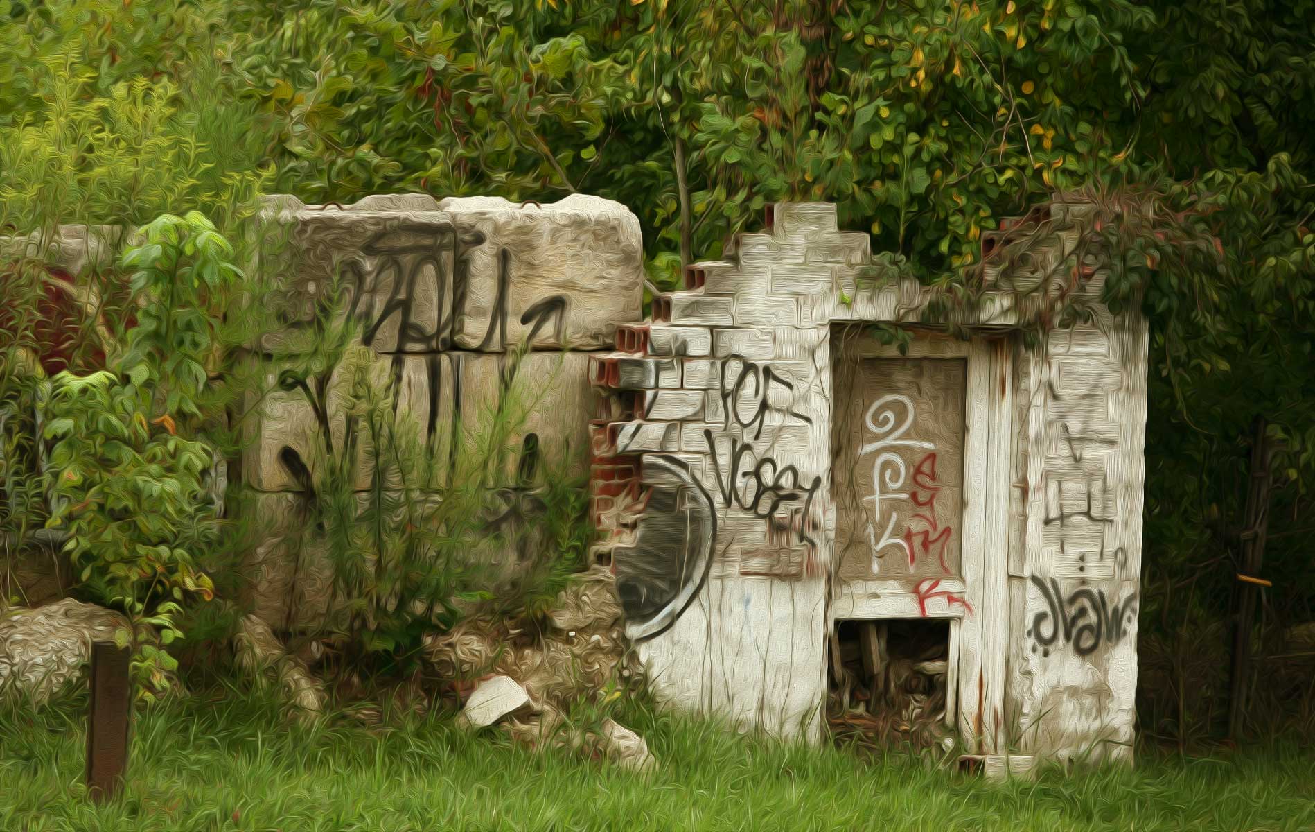 Dream Ruins, Asheville,NC