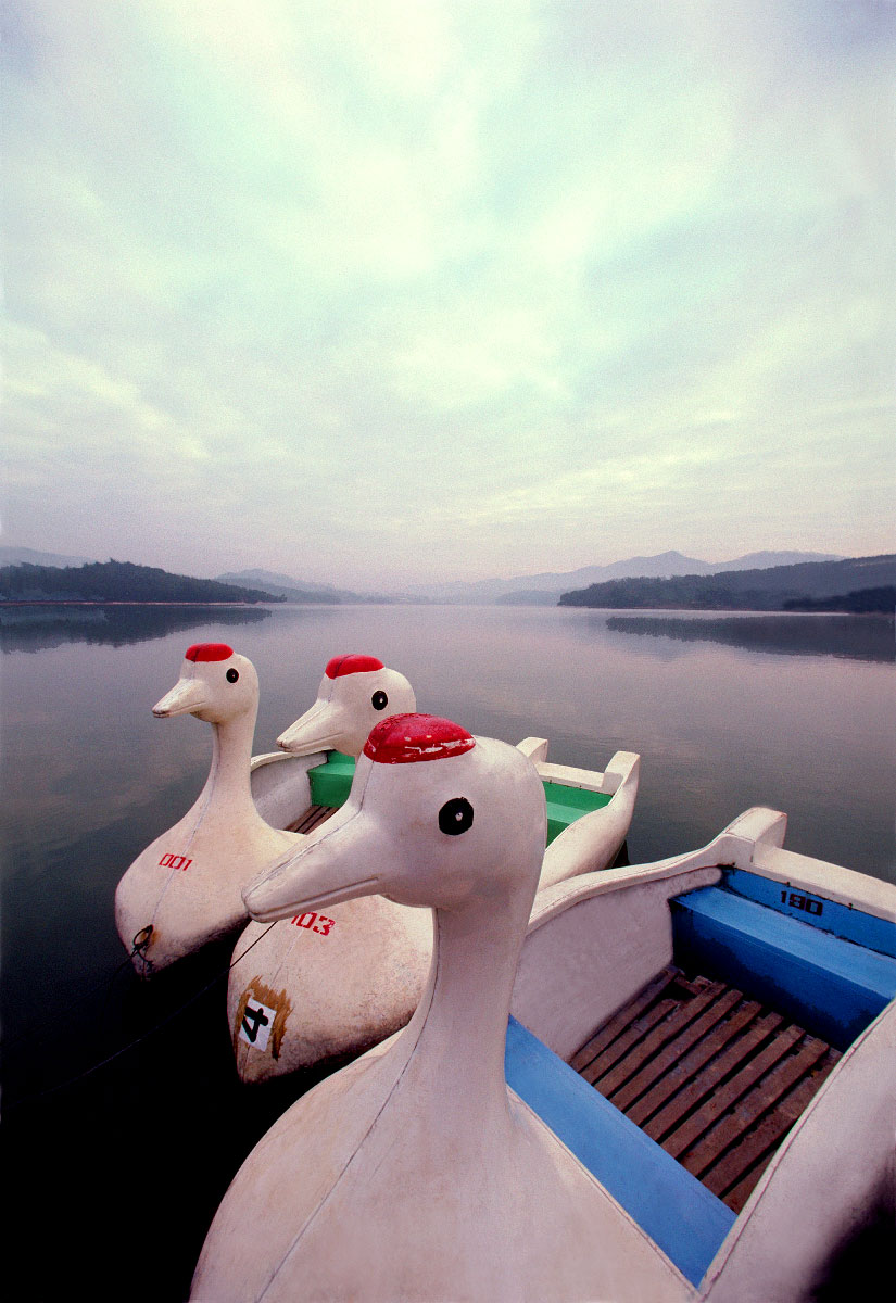 "Duck Boats" <br>   Canton, China