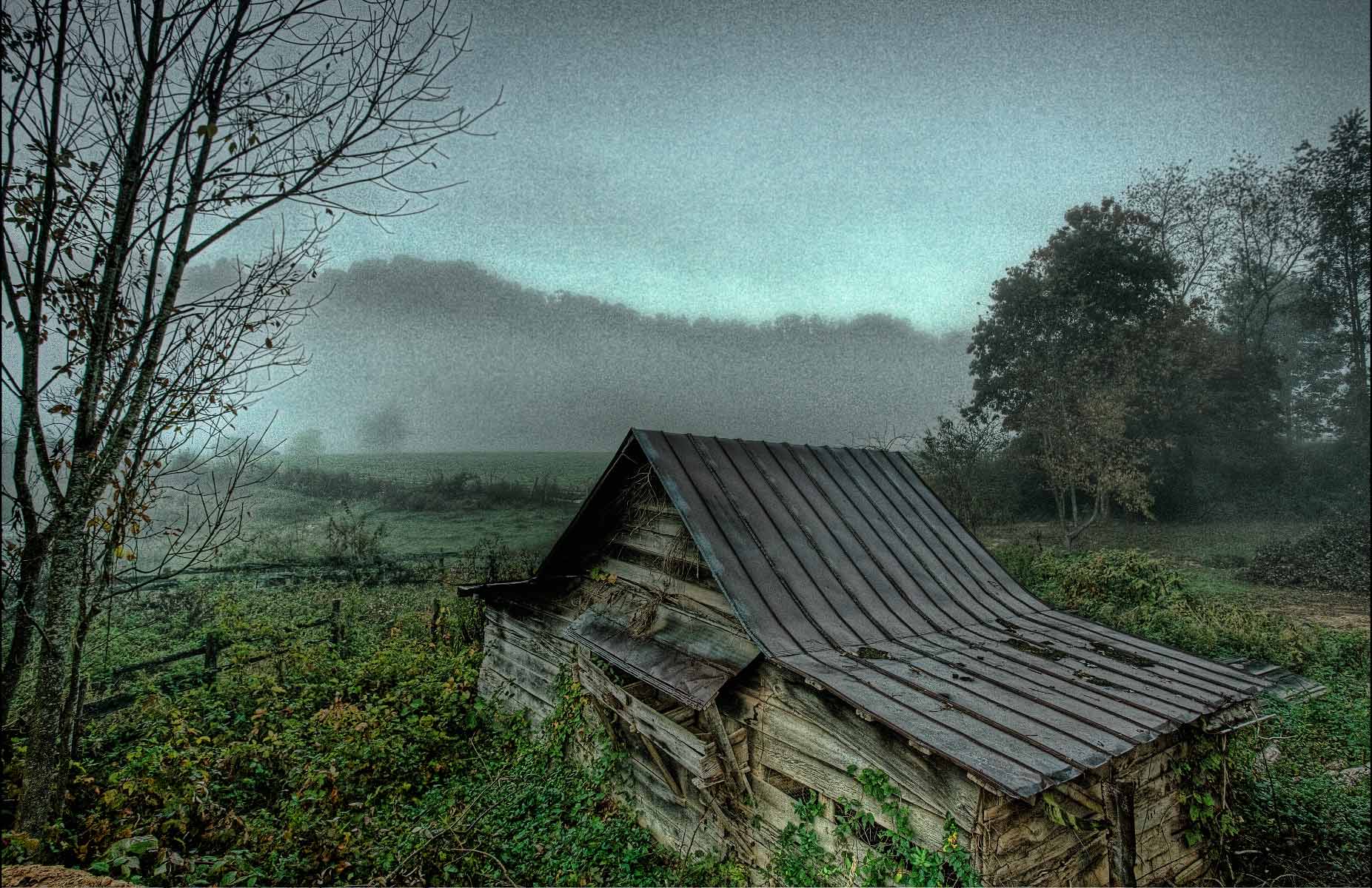 Tin Roof Barn-Foggy Morning-Jonathan Creek,NC