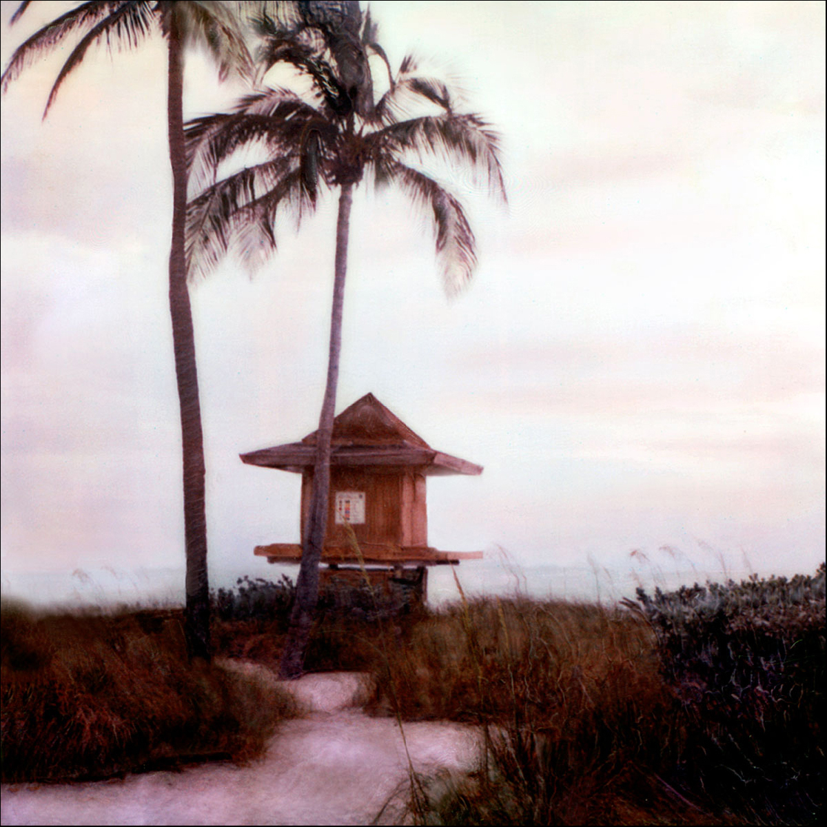 "Path to Lifeguard House"<br> Palms and Dunes,
Hollywood Beach, FL