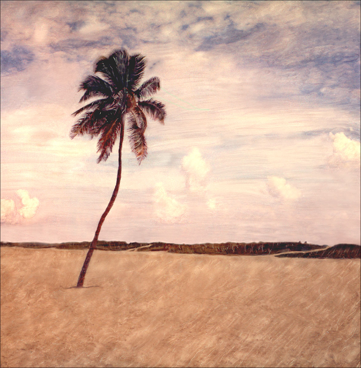 "Lone Palm" <br>Tree on Dunes with Puffy Clouds, Miami Beach, FL