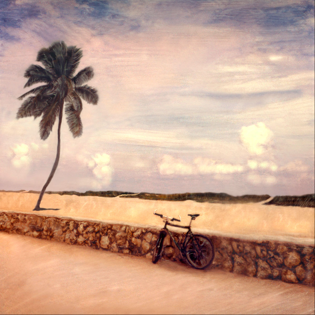 "Solitude" <br> Bike, Stone Wall, Dunes and Palm Tree, Miami Beach, FL