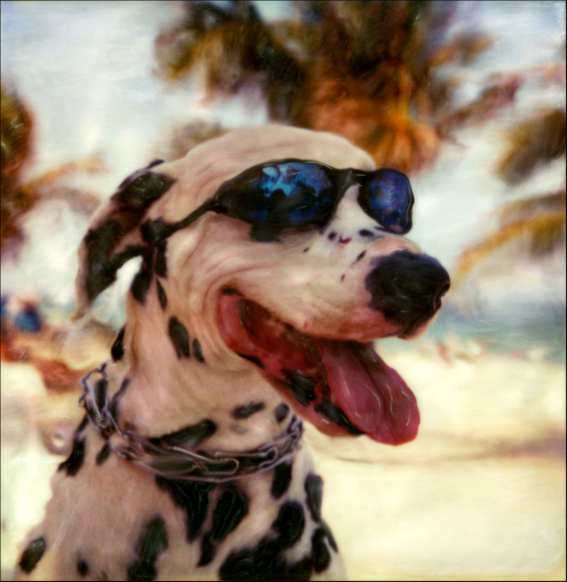"Spot on Beach"<br> Dalmation with Sunglasses on Ft Lauderdale Beach, FL