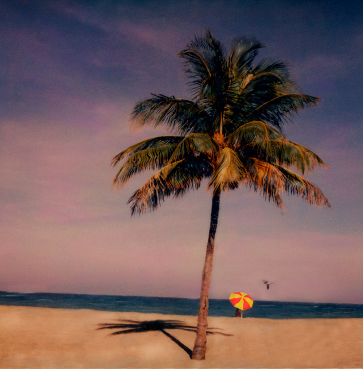 "Palm and Beach Umbrella" <br>Seascape with Palm and Red and Yellow Beach Umbrella, Haulover Beach, FL