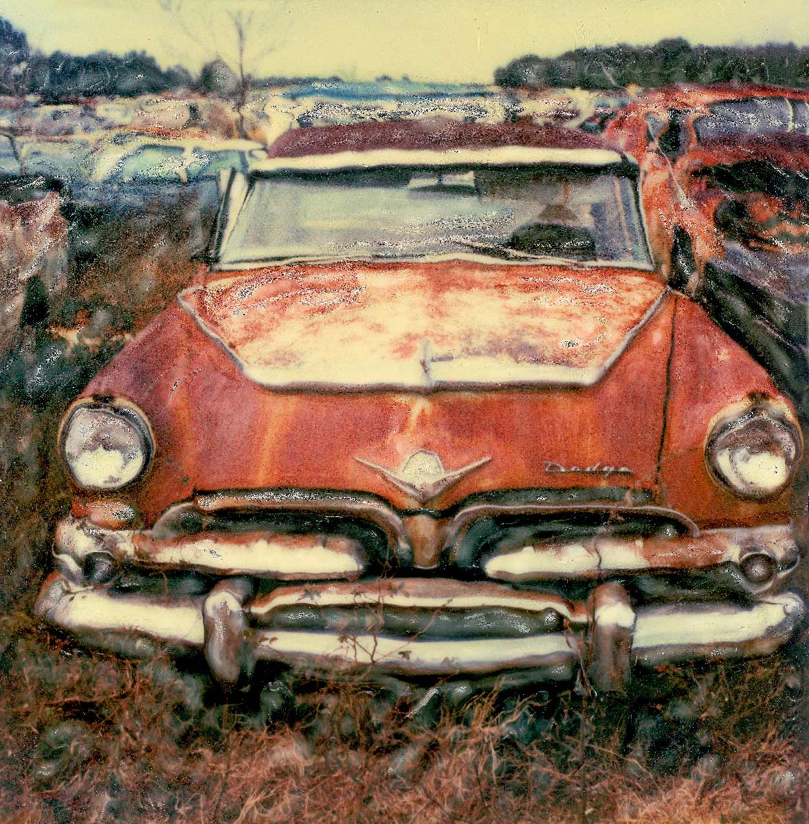 50s Dodge- Florida Junk Yard