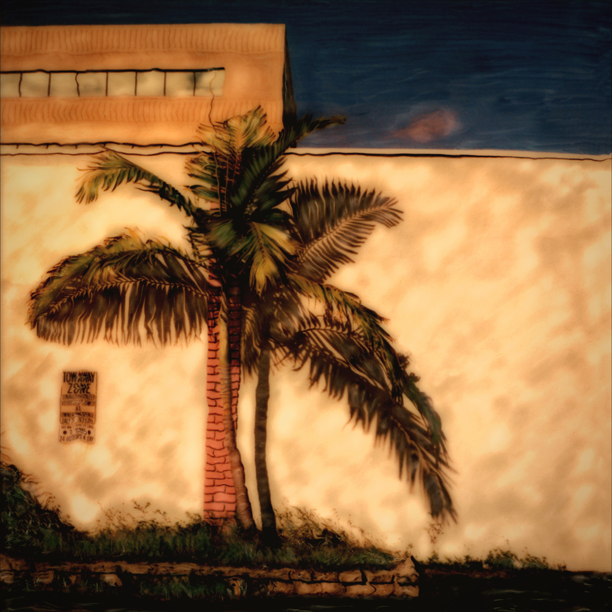 "Urban Palm" Against the Wall in Downtown Ft Lauderdale, FL