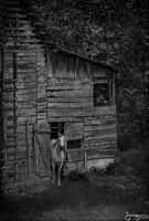 © 1980-2016 Gemignani, Fine Art Photography. All rights reserved.