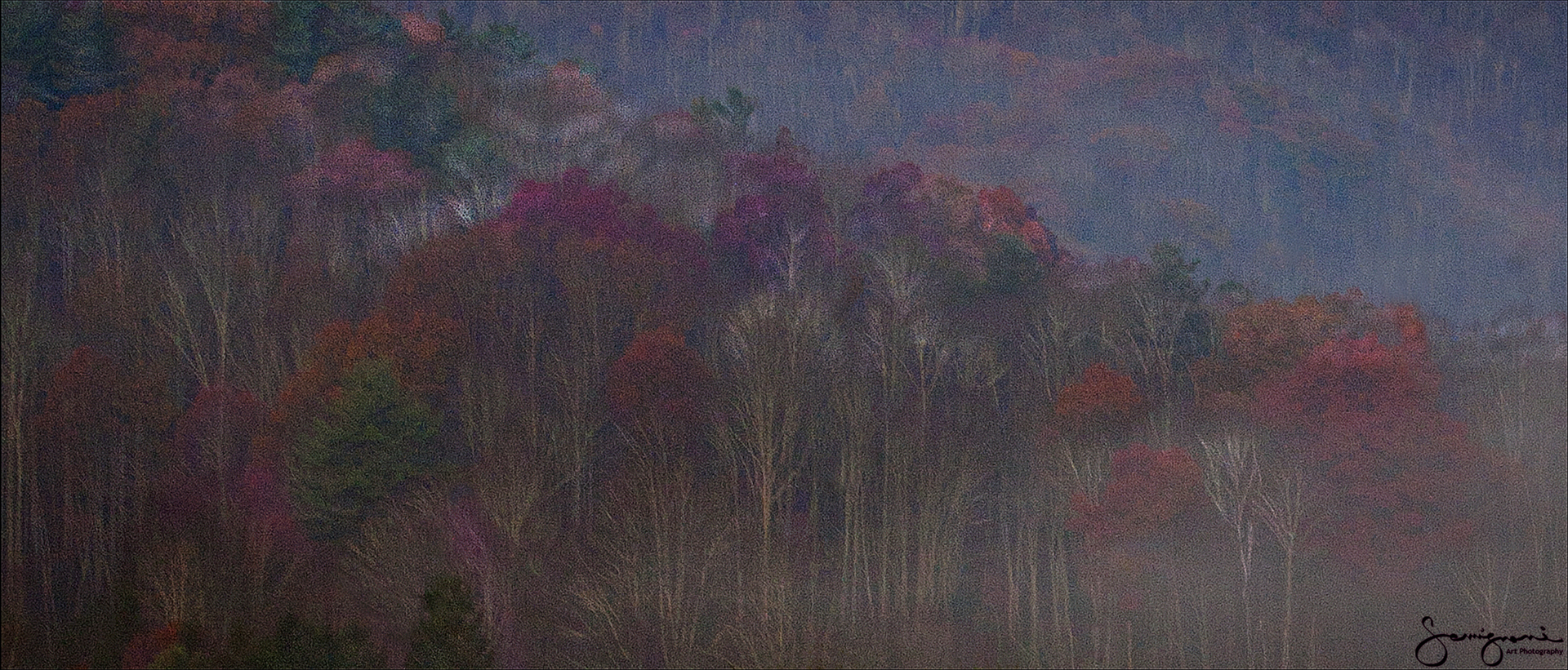 Colorful Trees in Fog "Panorama"