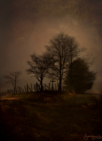 © 1980-2016 Gemignani, Fine Art Photography. All rights reserved.