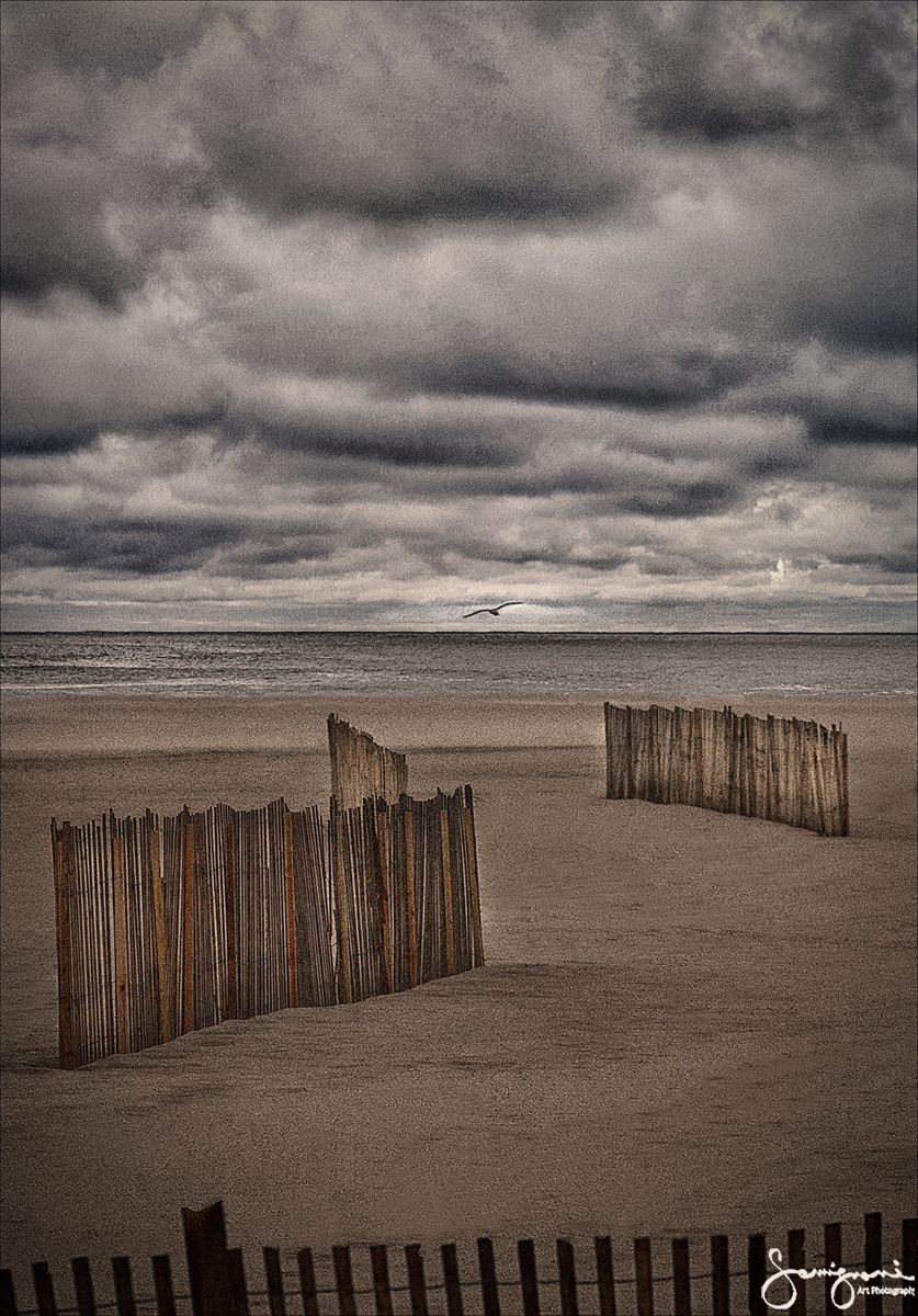 Beach Fences and Seagull, Point Pleasant, NJ