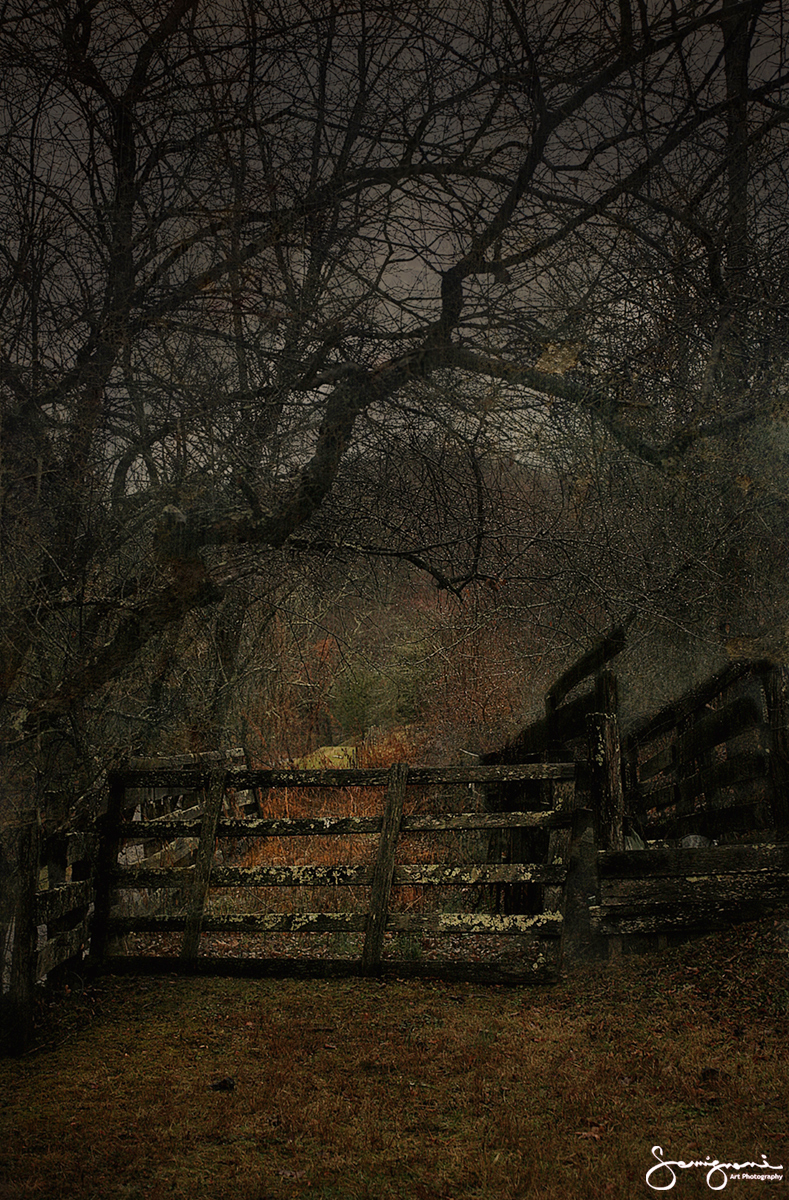 Old Corral, Lots of Moss