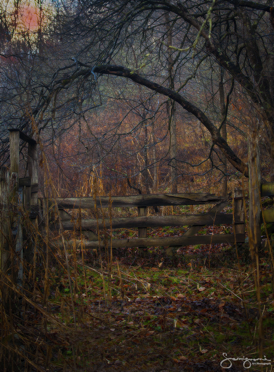 Country Arch and Fence