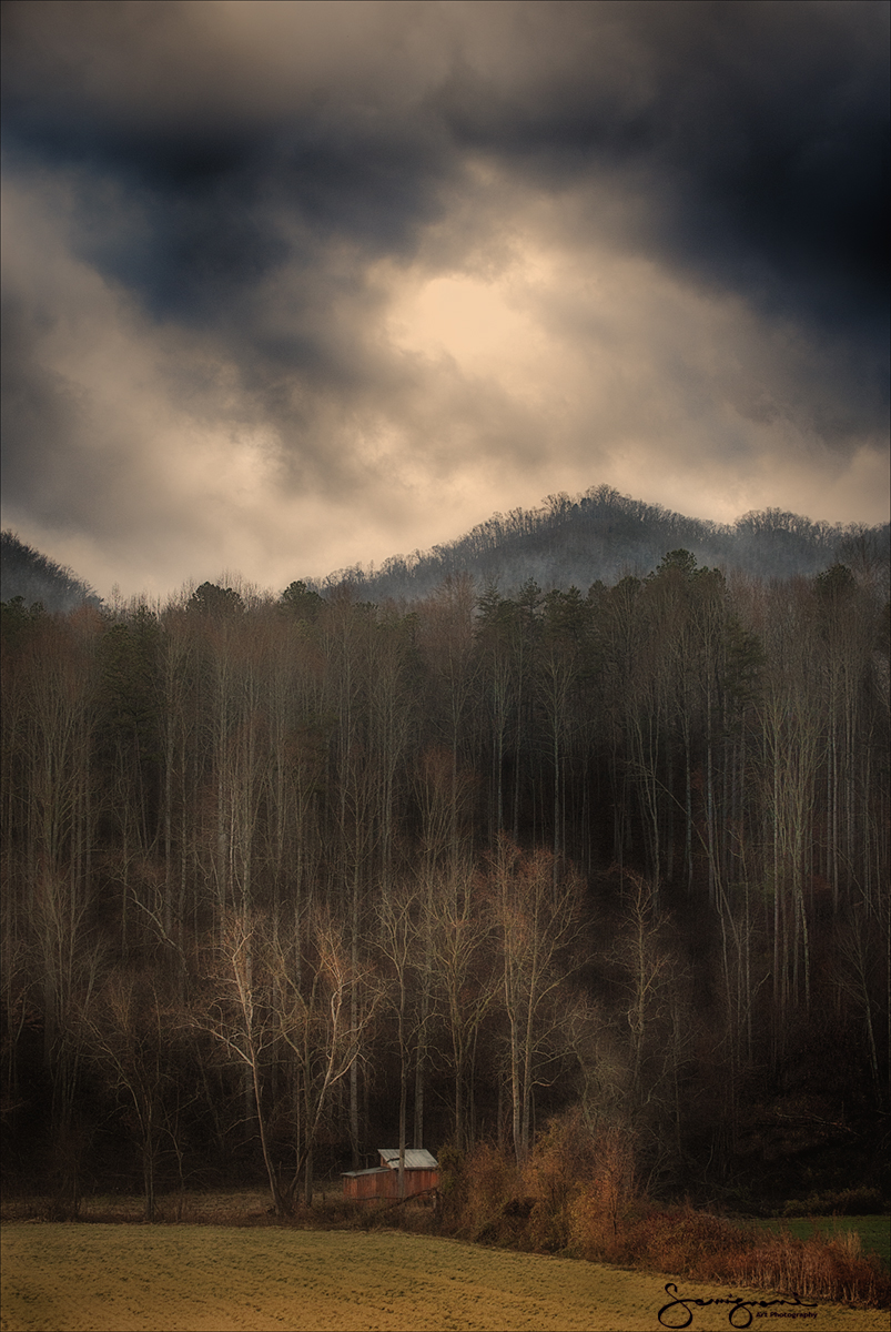 Small Barn, Big Trees,Canto,NC