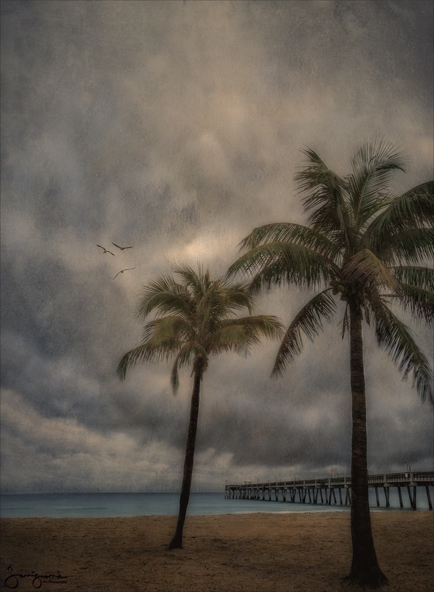 Two Palms and Pier, Dania Beach, FL