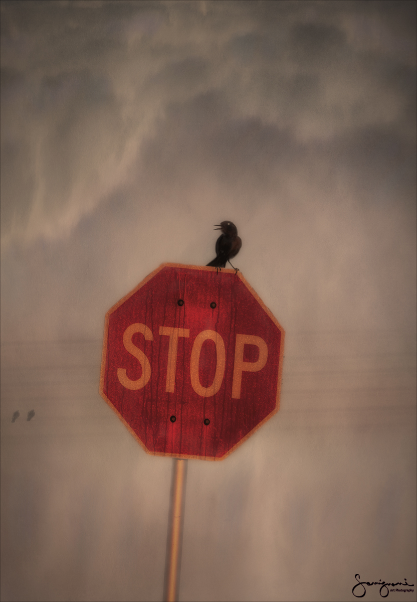 Stop sign Singer, Miami