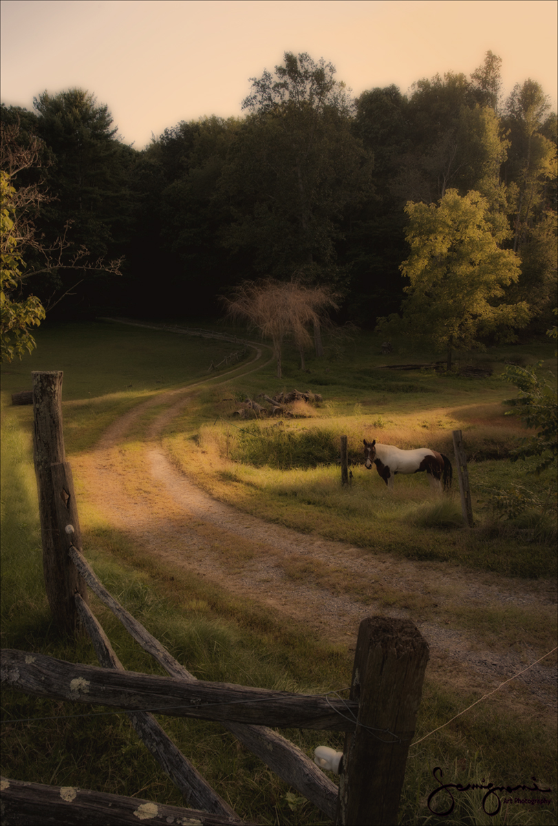 Horse and Dirt Road, Asheville, NC