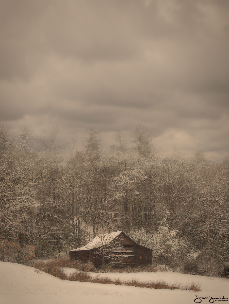 Subtle Colors on a Snowy Morning, NC