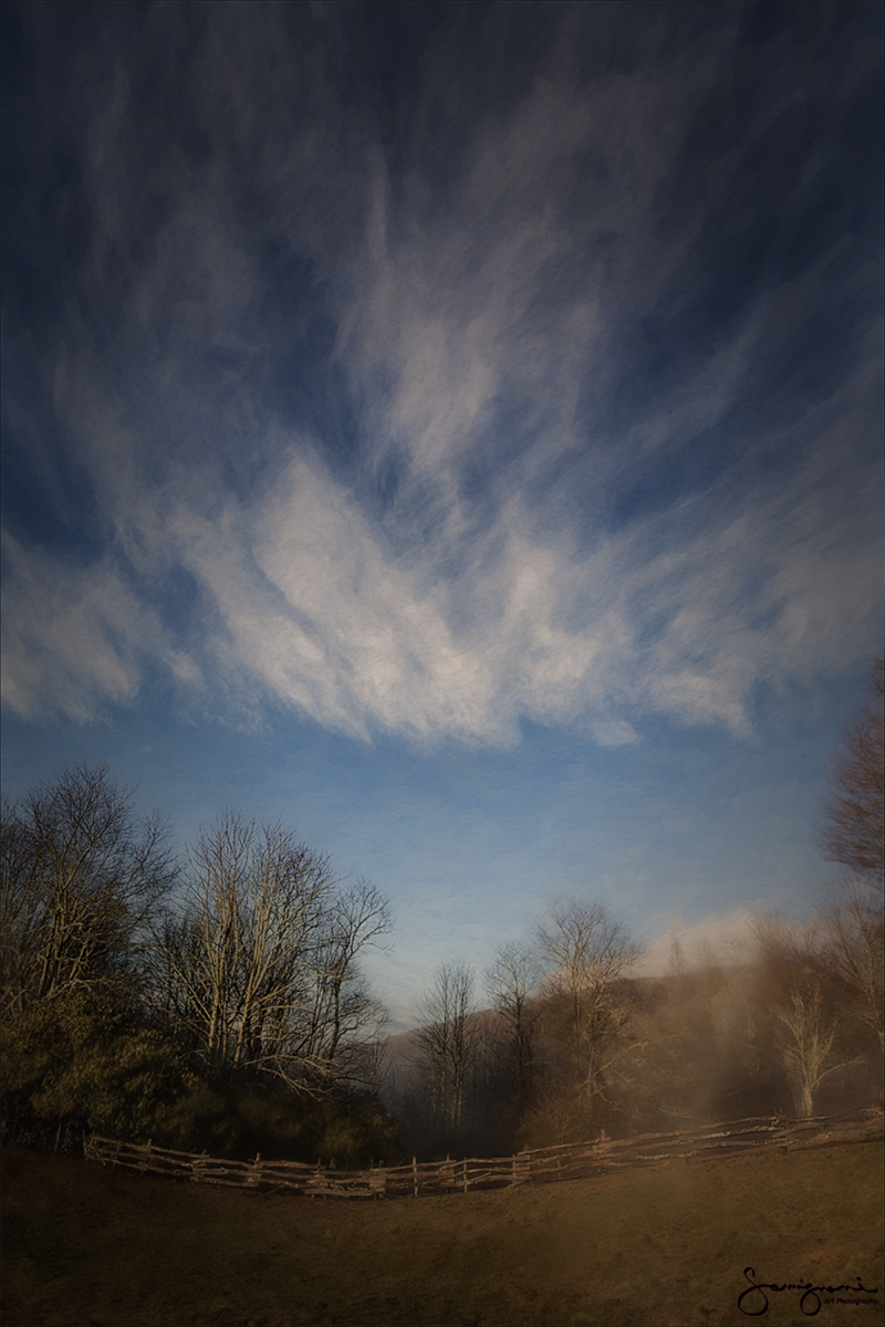 Carolina Sky-Vertical