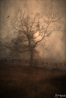 © 1980-2016 Gemignani, Fine Art Photography. All rights reserved.