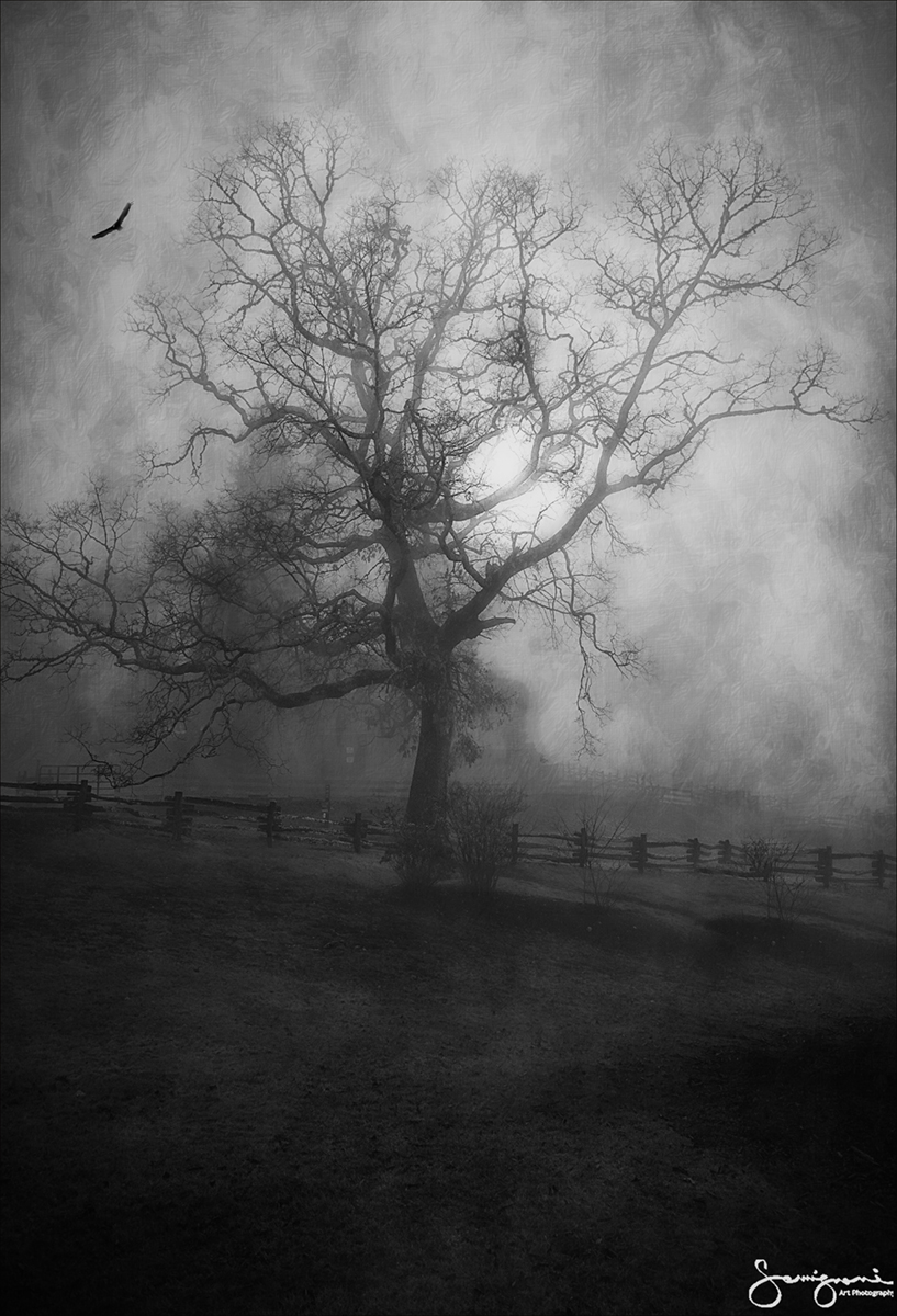 A Sculpture in Fog #2 B&W Vertical