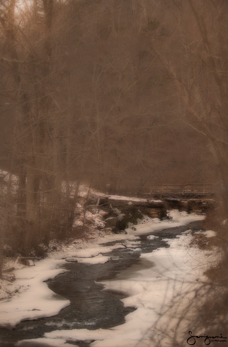 Creek and Old bridge,Snow Day