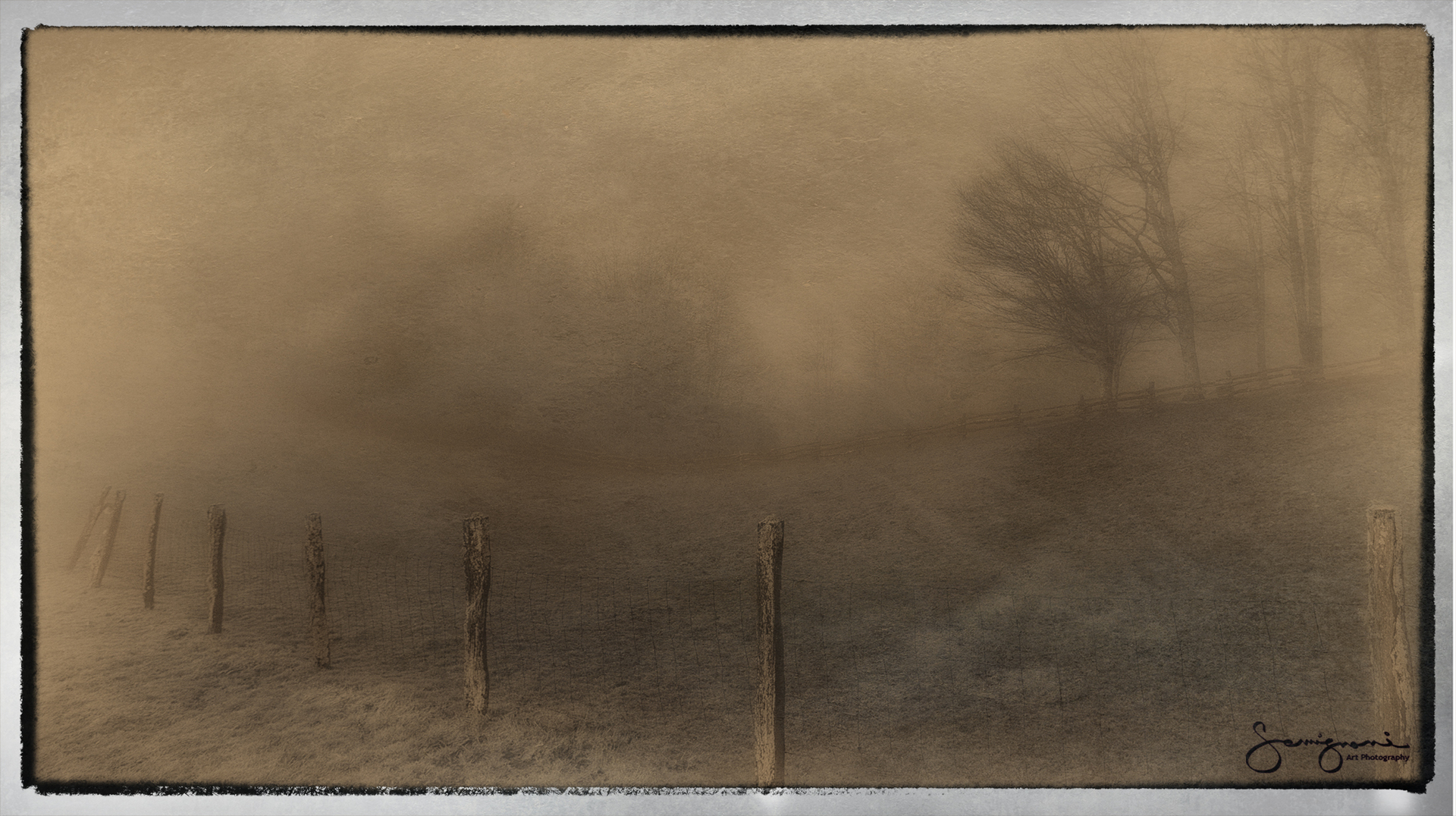 Moss Covered Fence in Fog