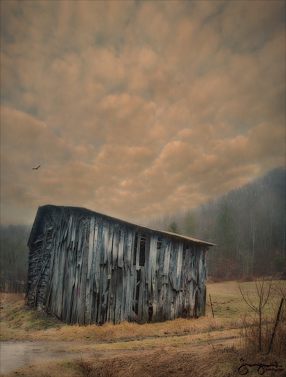 Textured Barnside-Luck,NC