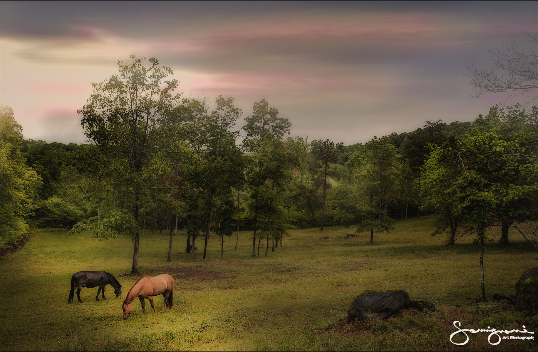 Two Horses in the Field, NC
