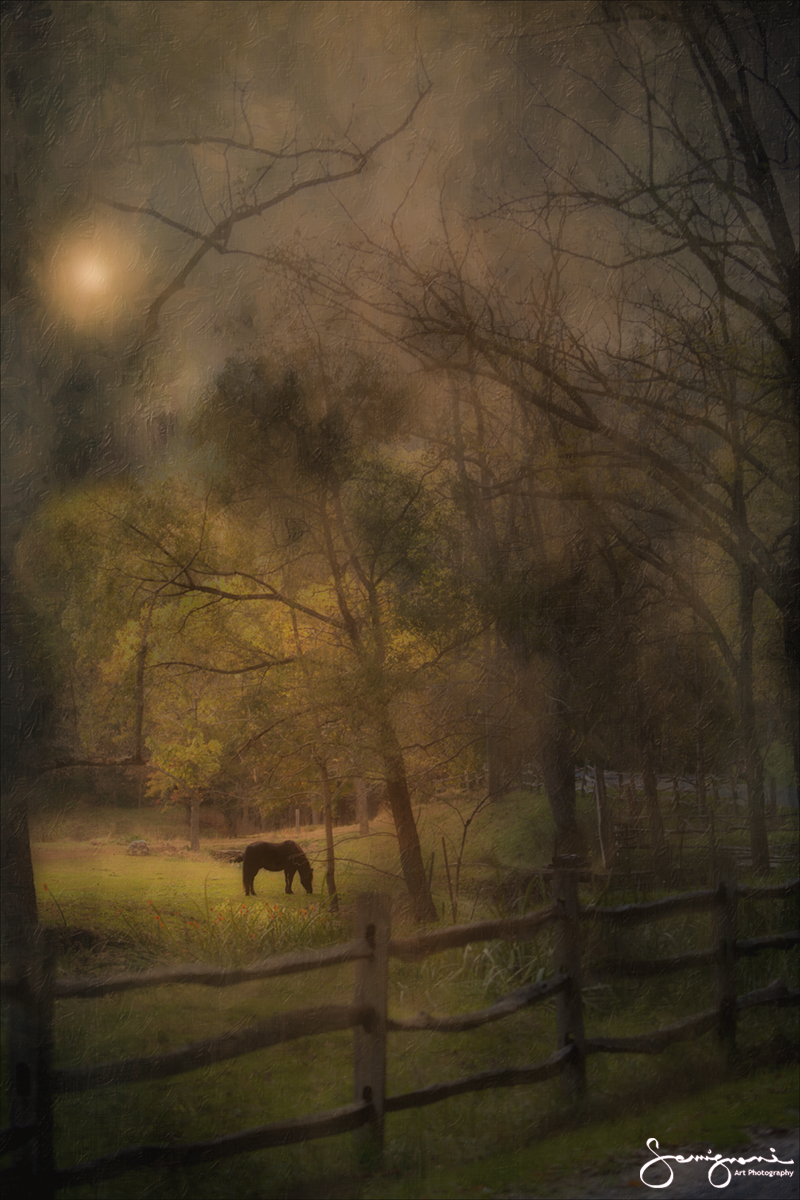 Black Horse Cool fence, Asheville NC