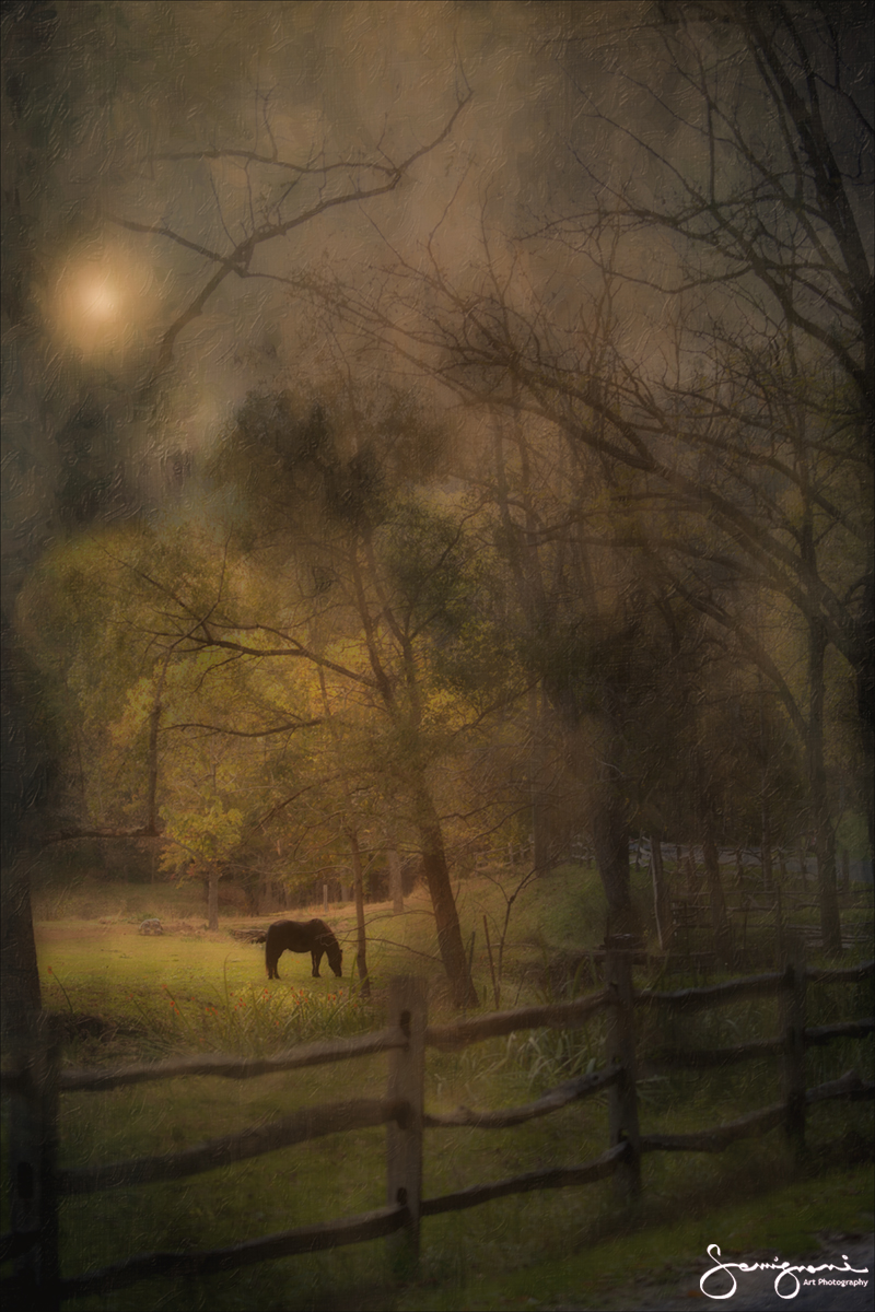 Black Horse Cool fence, Asheville NC