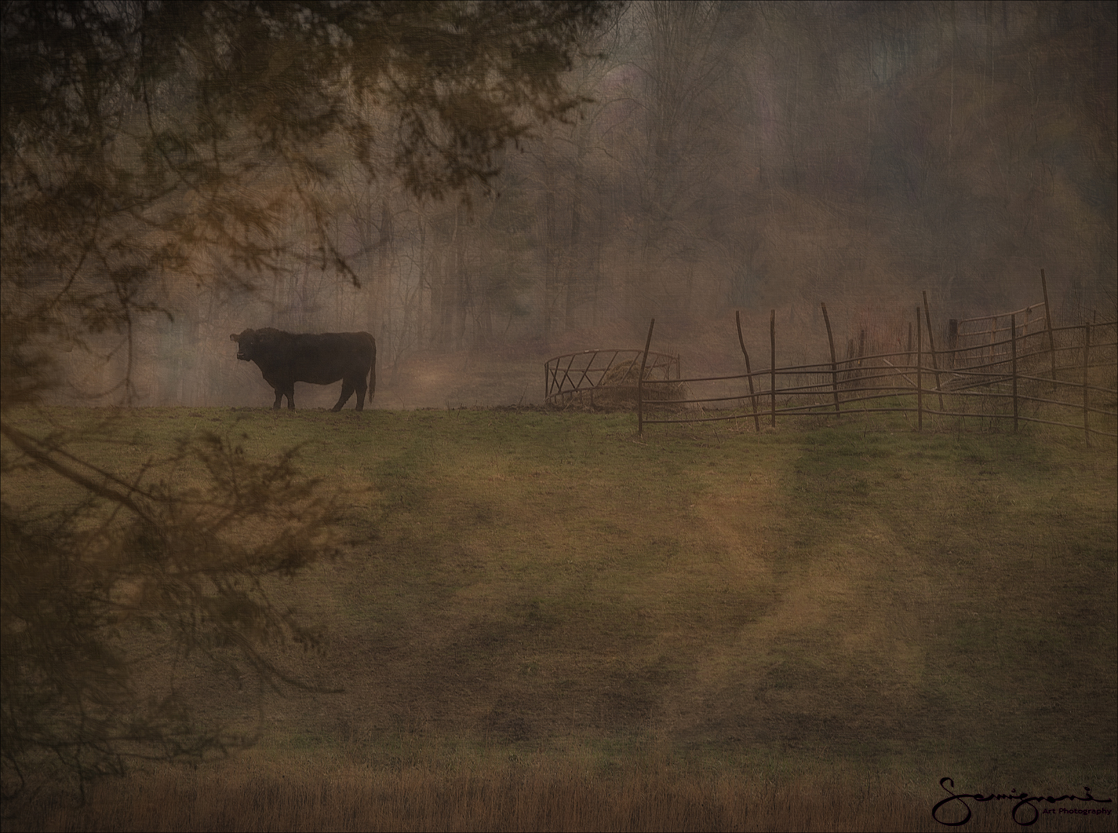 Foggy Morning on the Farm