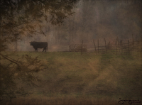 © 1980-2016 Gemignani, Fine Art Photography. All rights reserved.