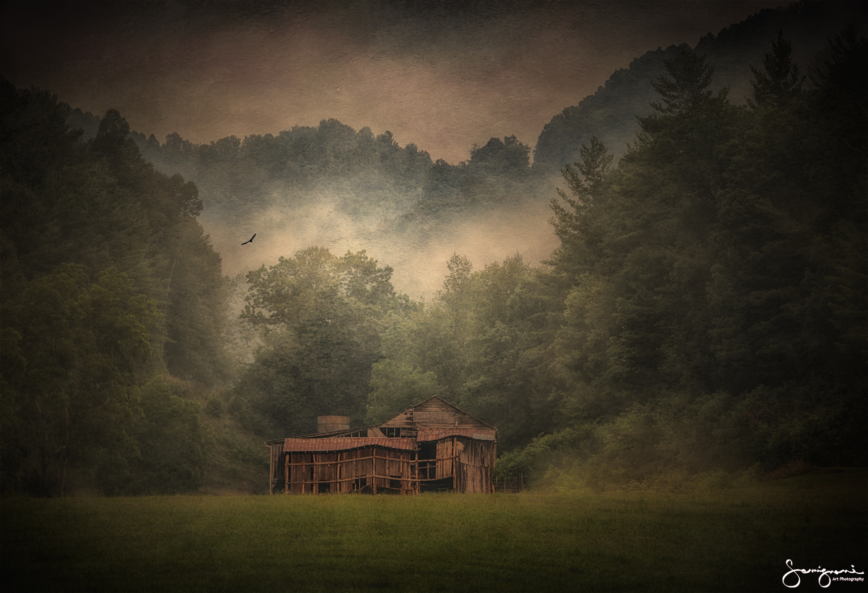 Collapsing Barn-Iron Duff,NC