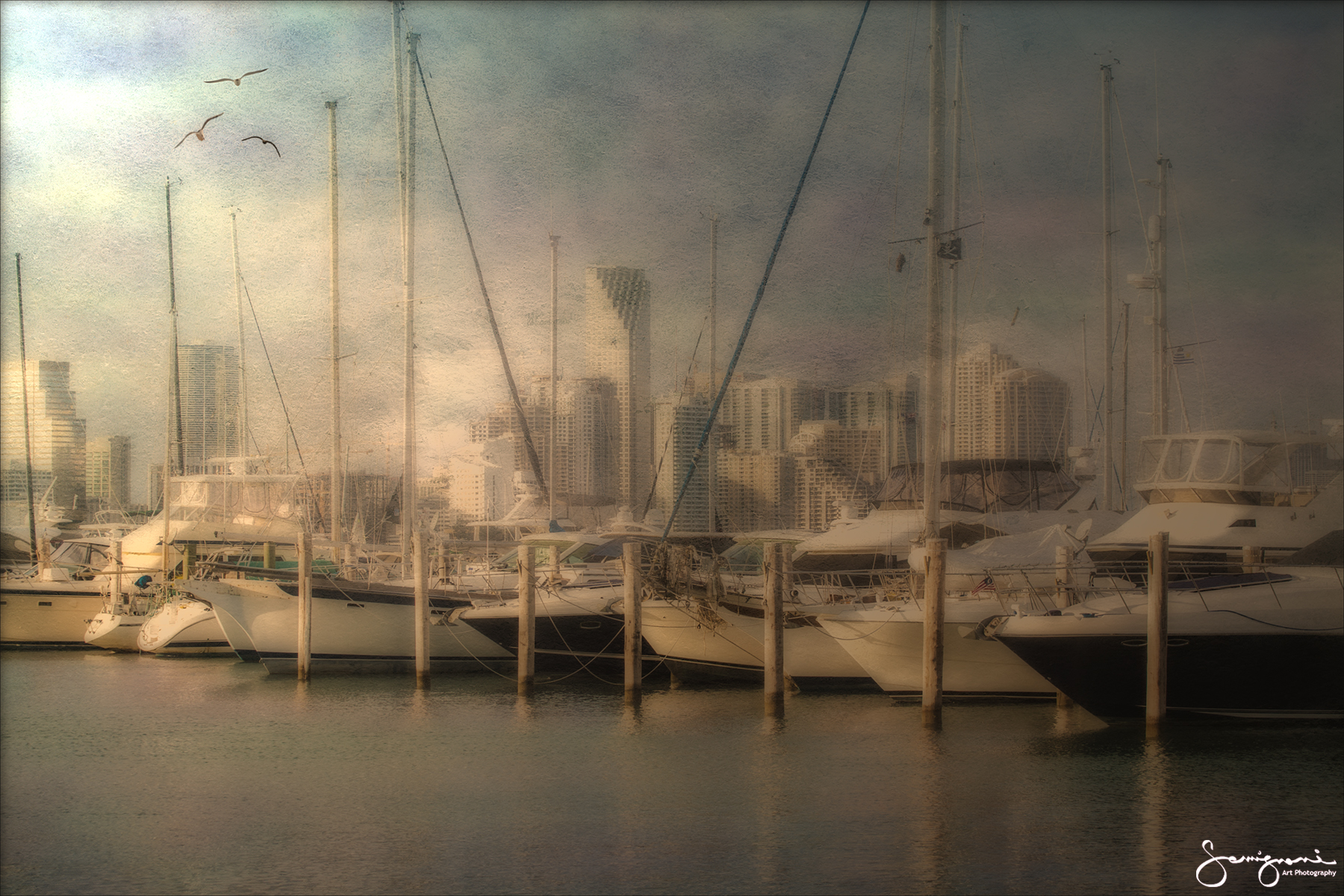 Sail Boats and Miami Skyline