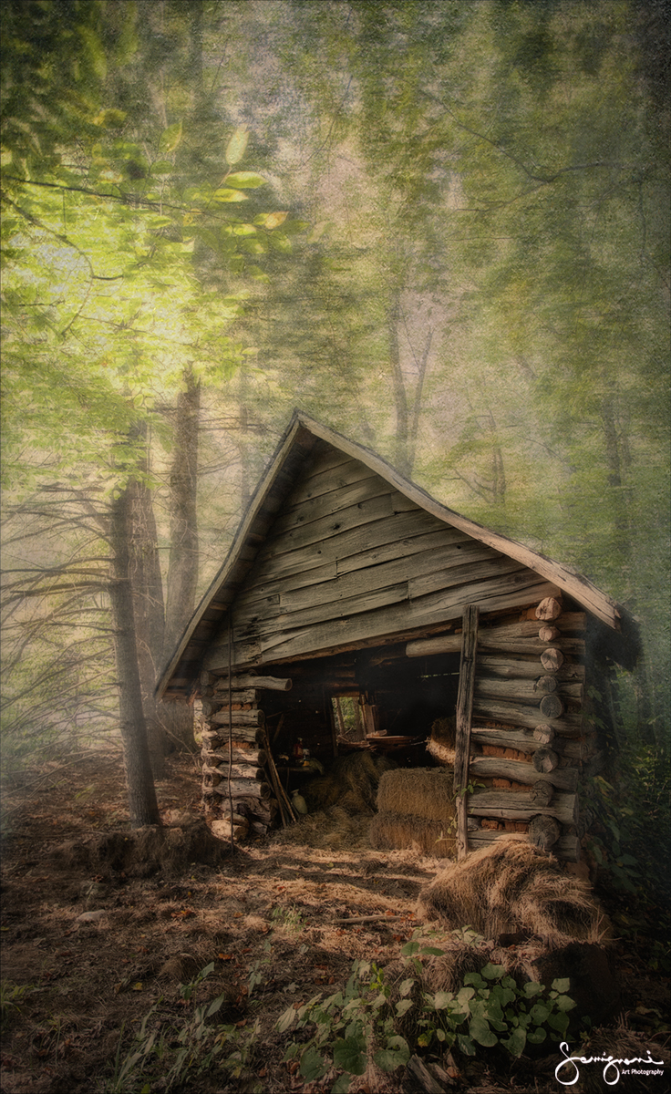 Hay Barn for the Horses-Leicester, NC