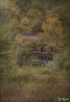 © 1980-2016 Gemignani, Fine Art Photography. All rights reserved.