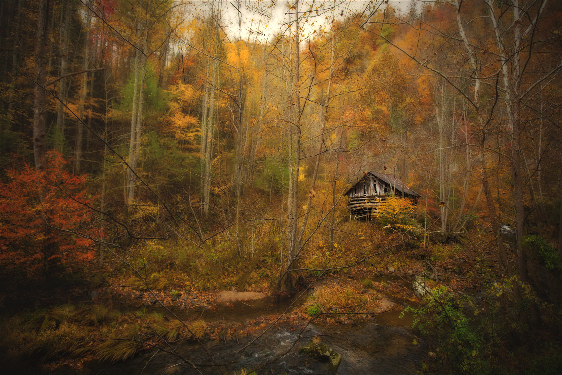 Creek and Abandoned Tobacco Barn, Middle Fork, NC