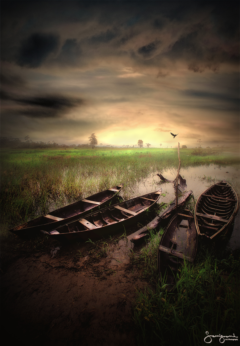 Four Handmade Boats- Amazon River