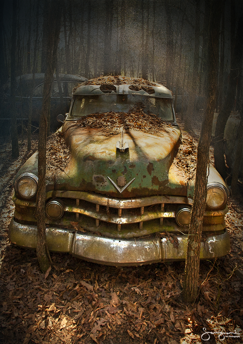 A Cadillac in the Woods- Junk Yard, White, GA