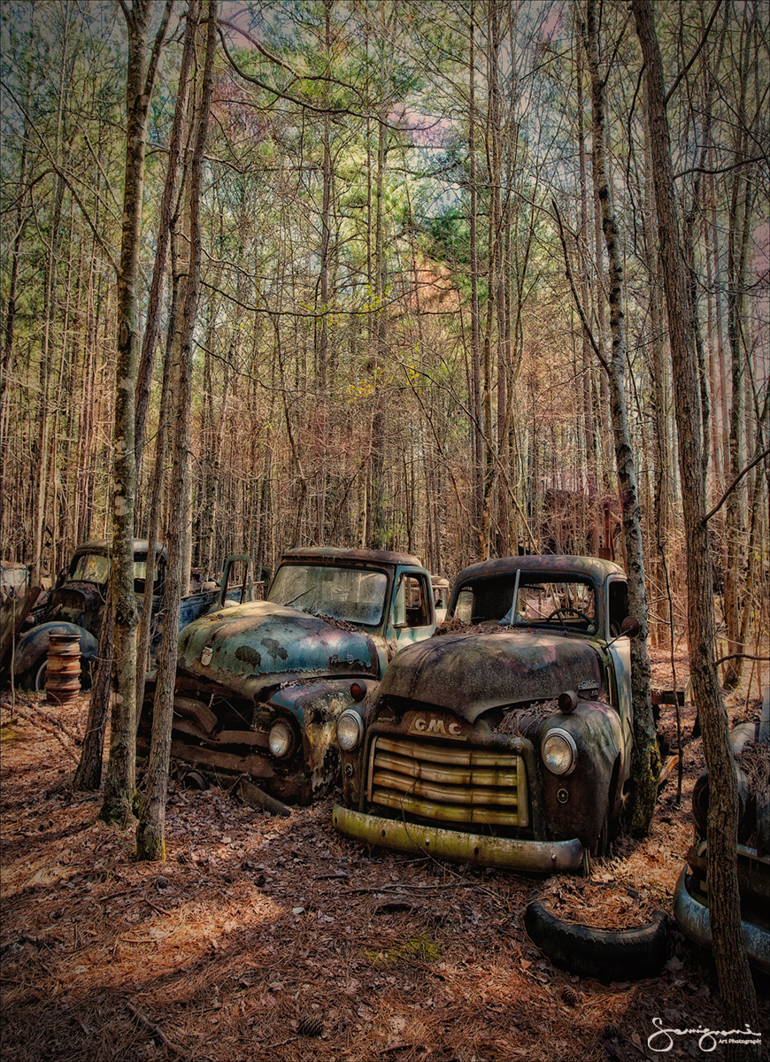 The Junk Yard Collection-
Junk Yard, White, GA