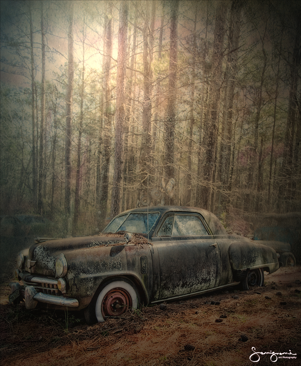 1950s Studebaker Coupe
Junk Yard, White, GA