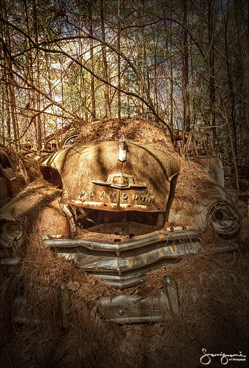 Sad Plymouth-
Junk Yard, White, GA